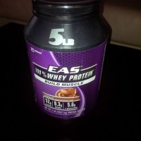 Whey Protein